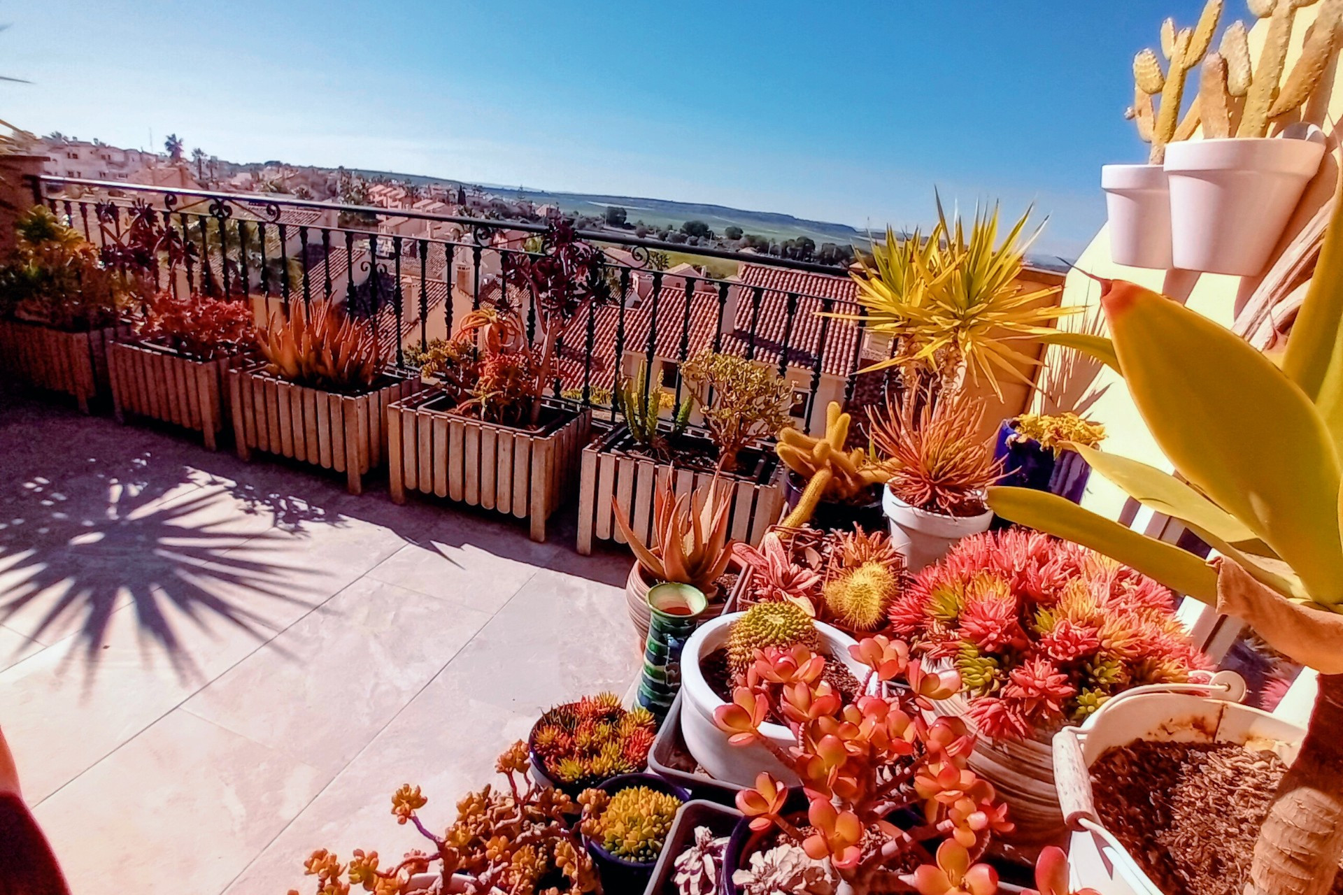 Resale - Townhouse - Algorfa - La Finca Golf