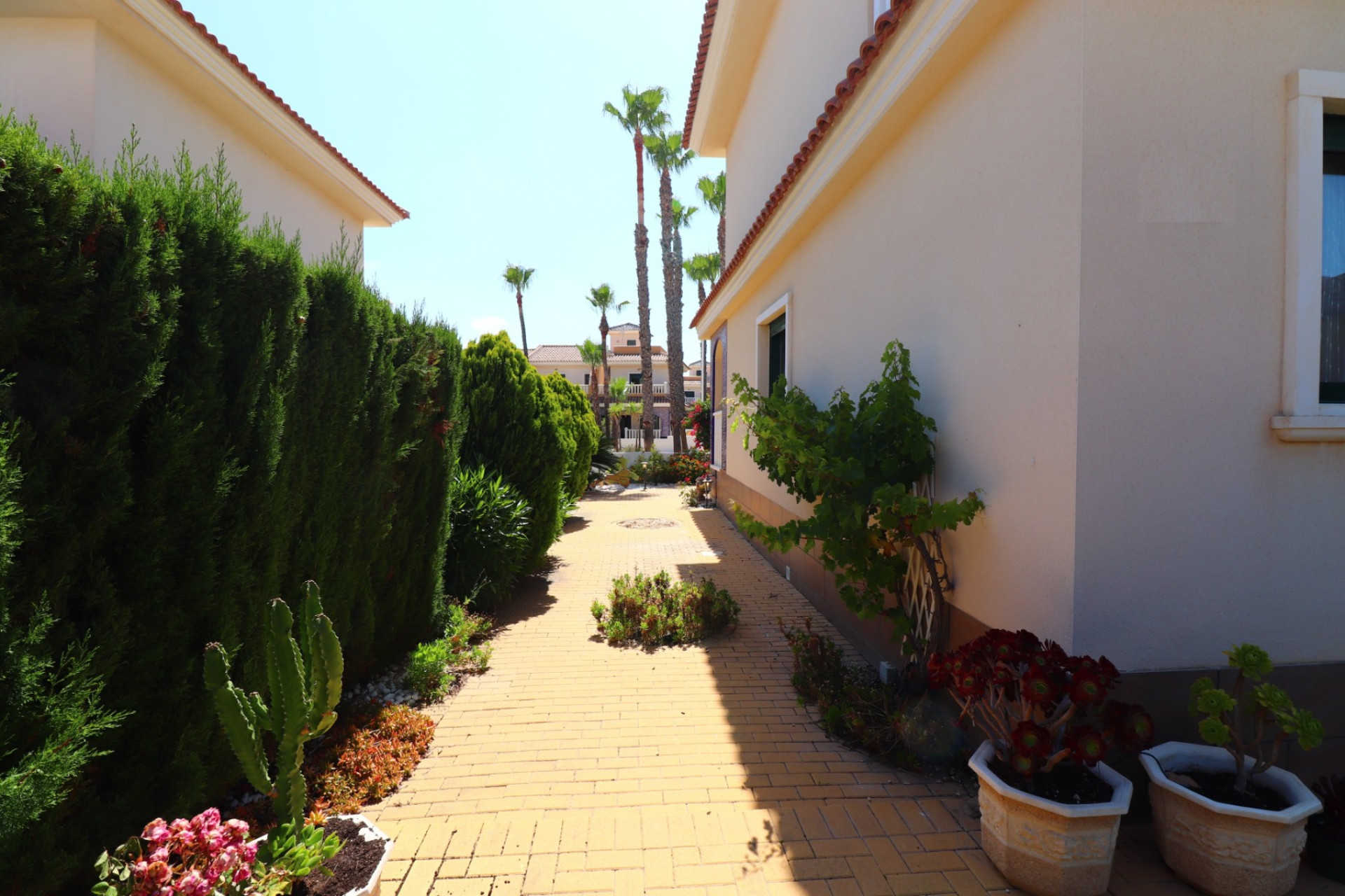Resale - Townhouse - Ciudad Quesada - Doña Pepa
