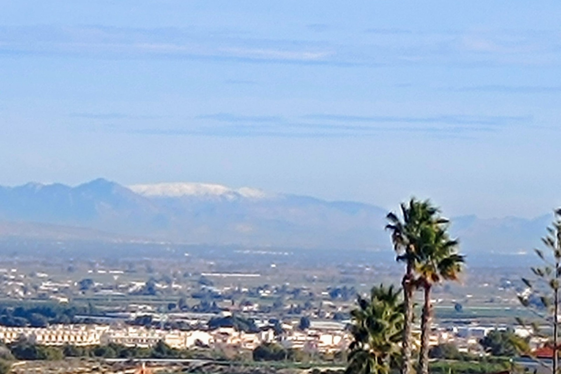 Resale - Villa - Algorfa - Lomas de Juliana