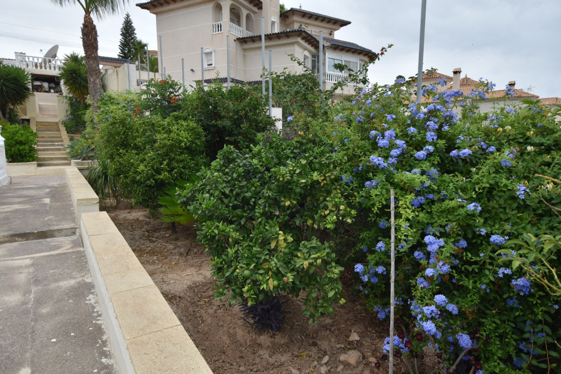 Resale - Villa - Algorfa - Montemar