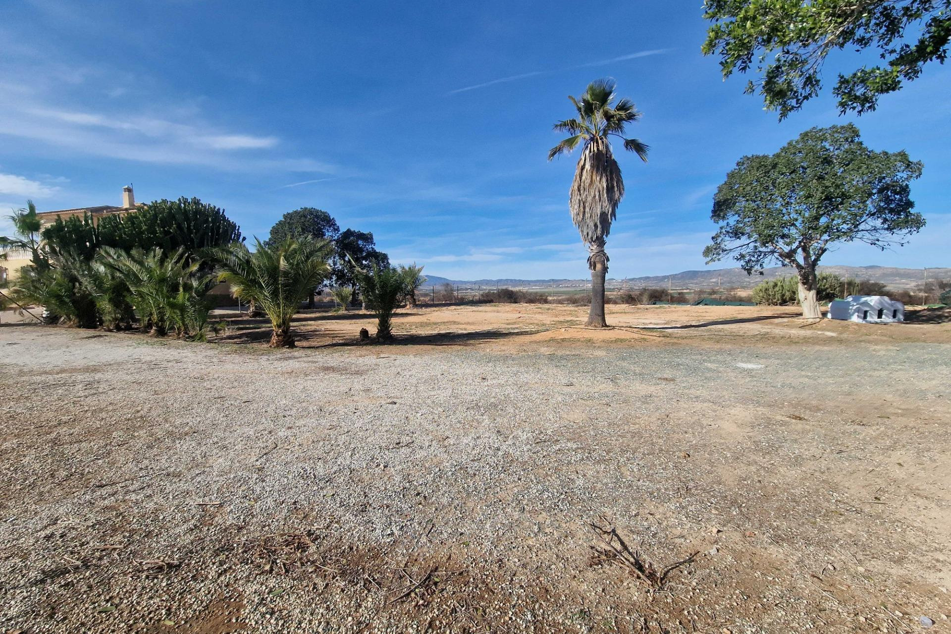 Resale - Villa - Cieza