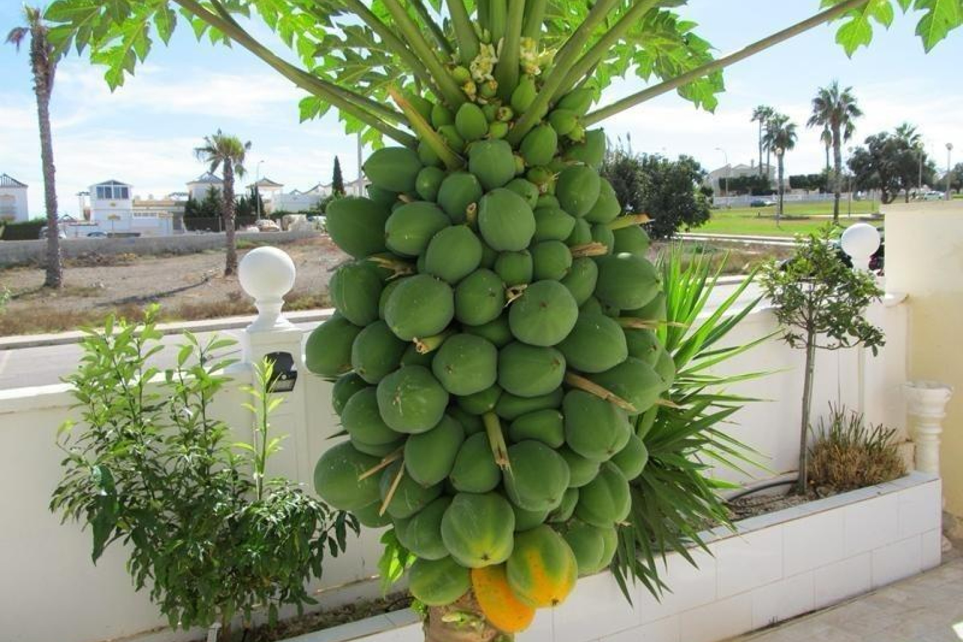 Resale - Villa - Torrevieja - Aguas Nuevas