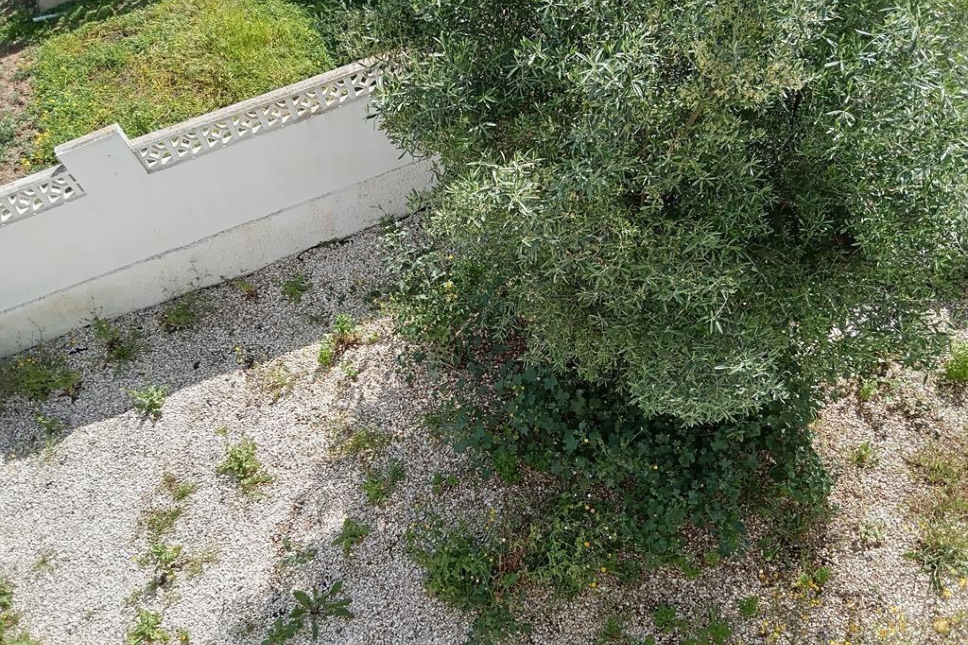 Resale - Villa - Torrevieja - Los Balcones - Los Altos del Edén