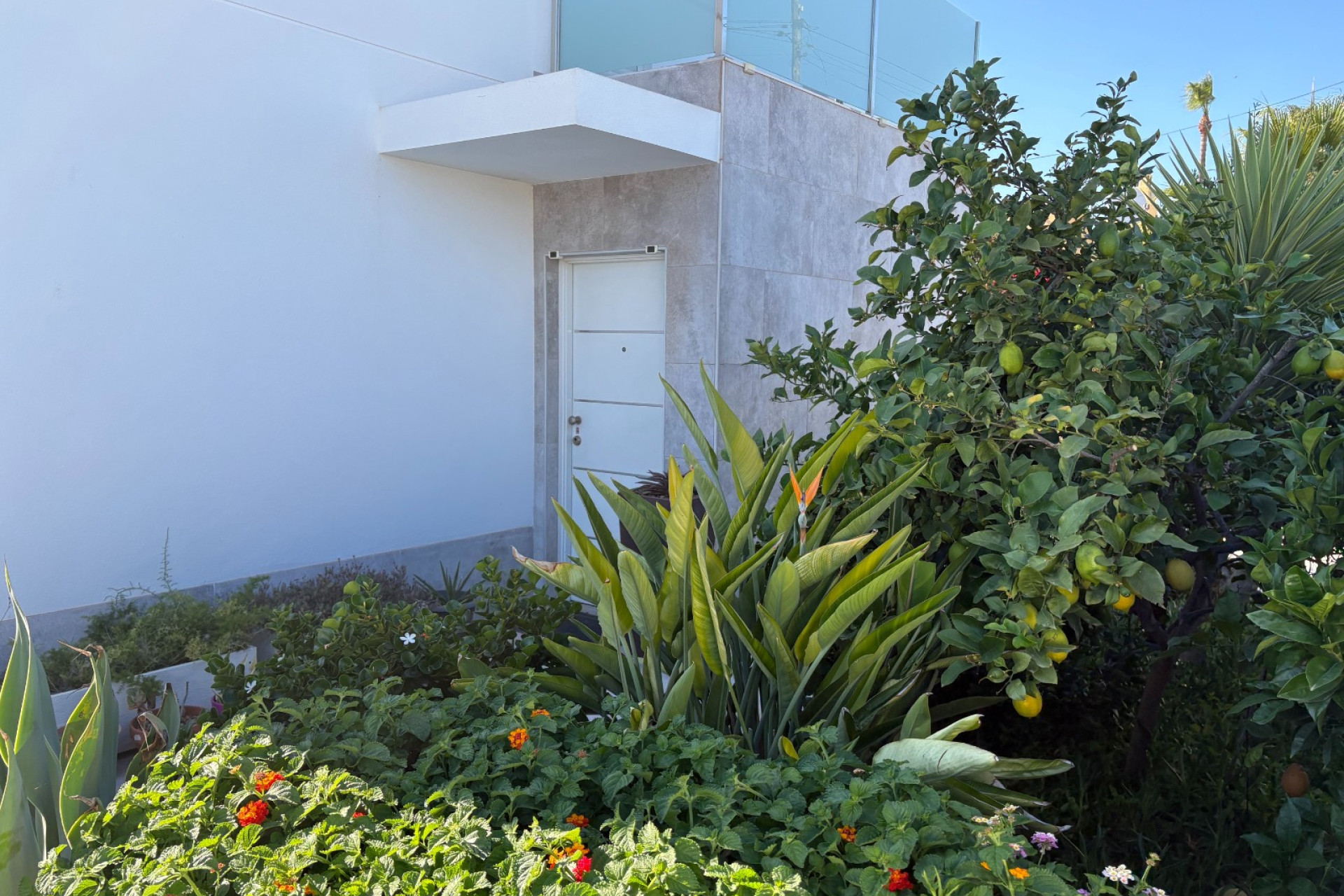 Resale - Villa - Torrevieja - Torreta - Florida