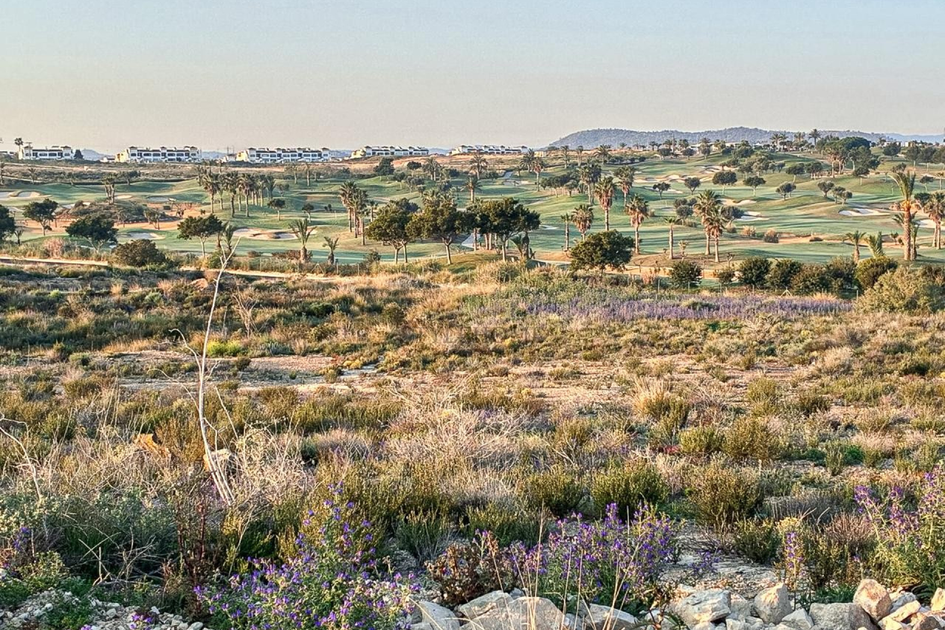 Reventa - 1. Apartment / flat - Entre Naranjo - Vistabella Golf - Entre Naranjos Vistabella Golf