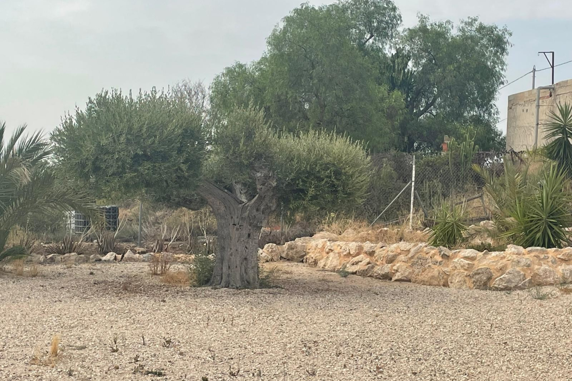 Reventa - 5. Finca / Country Property - Abanilla