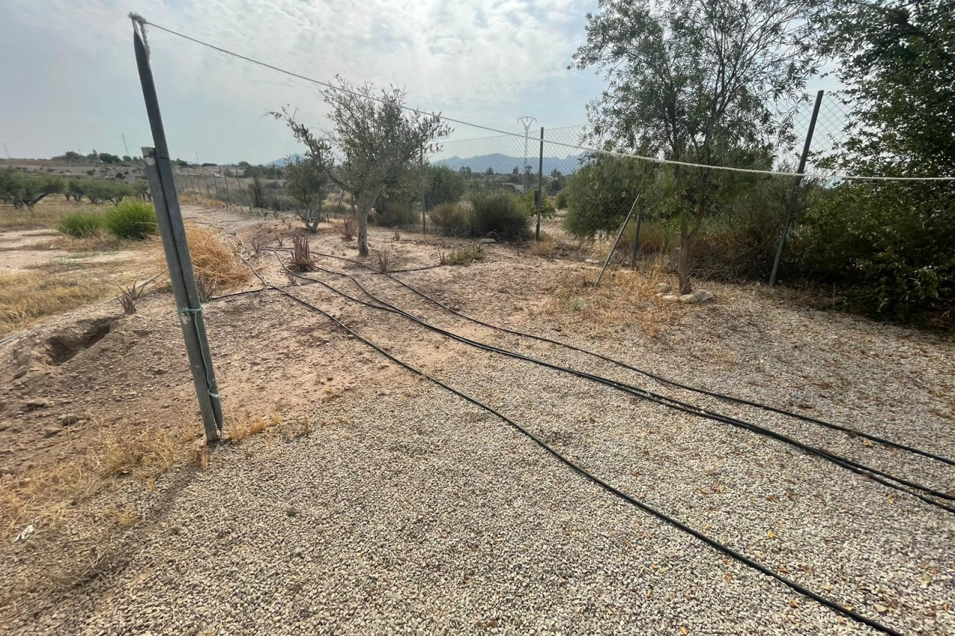 Reventa - 5. Finca / Country Property - Abanilla