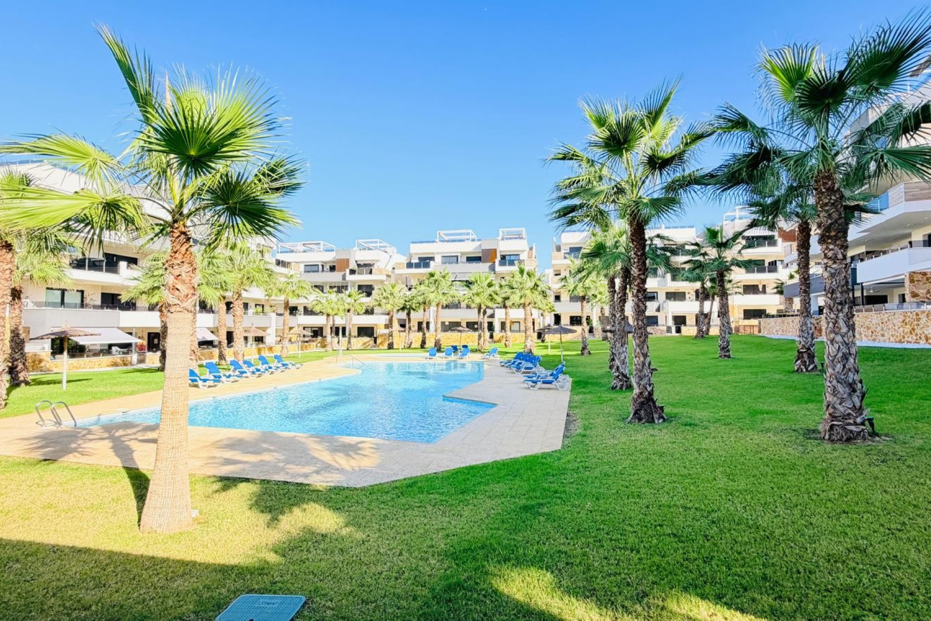 Reventa - Apartamento - Sin dormitorio - Orihuela Costa - Los Altos