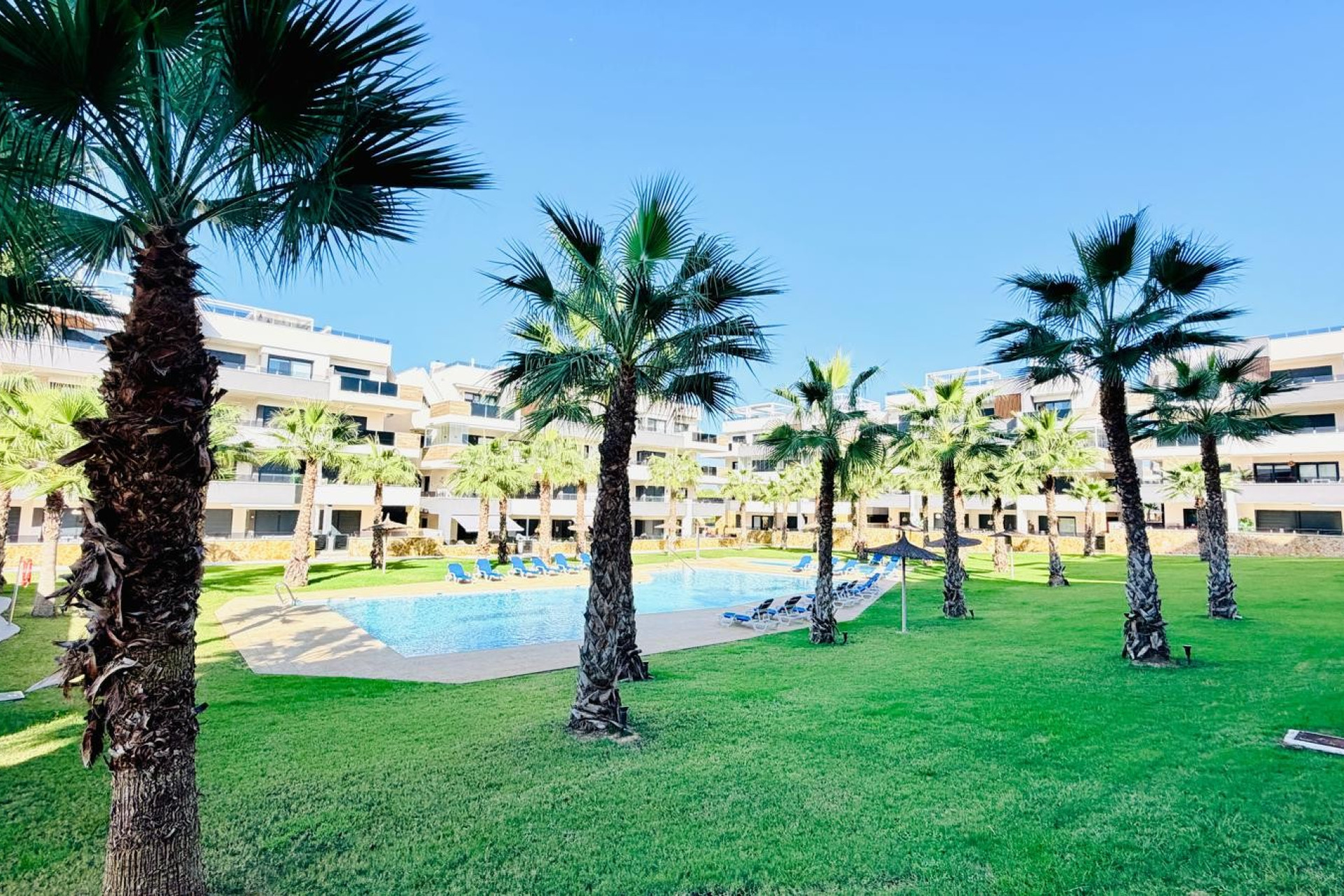 Reventa - Apartamento - Sin dormitorio - Orihuela Costa - Los Altos