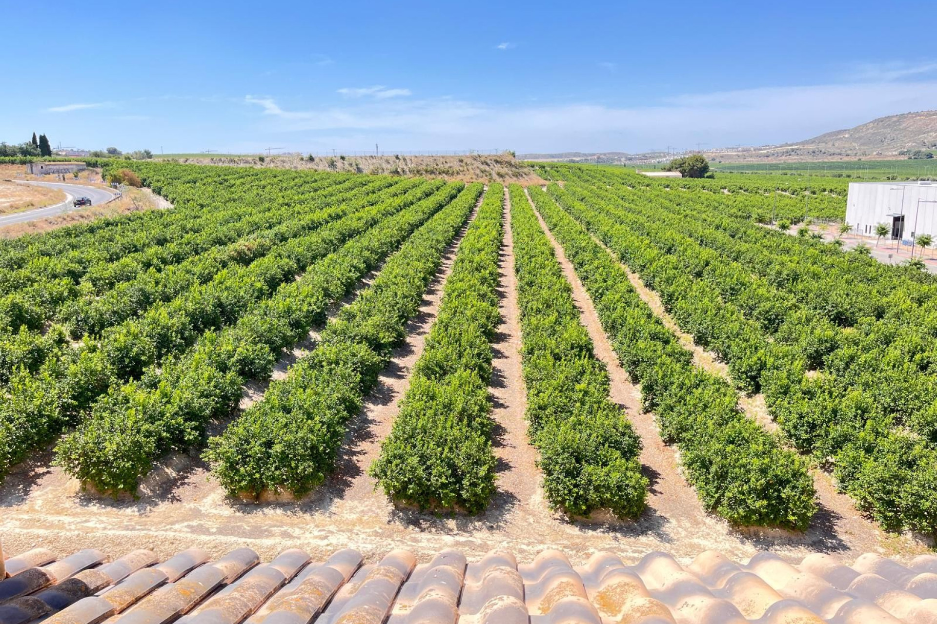 Reventa - Apartment - Algorfa - Algorfa - Village