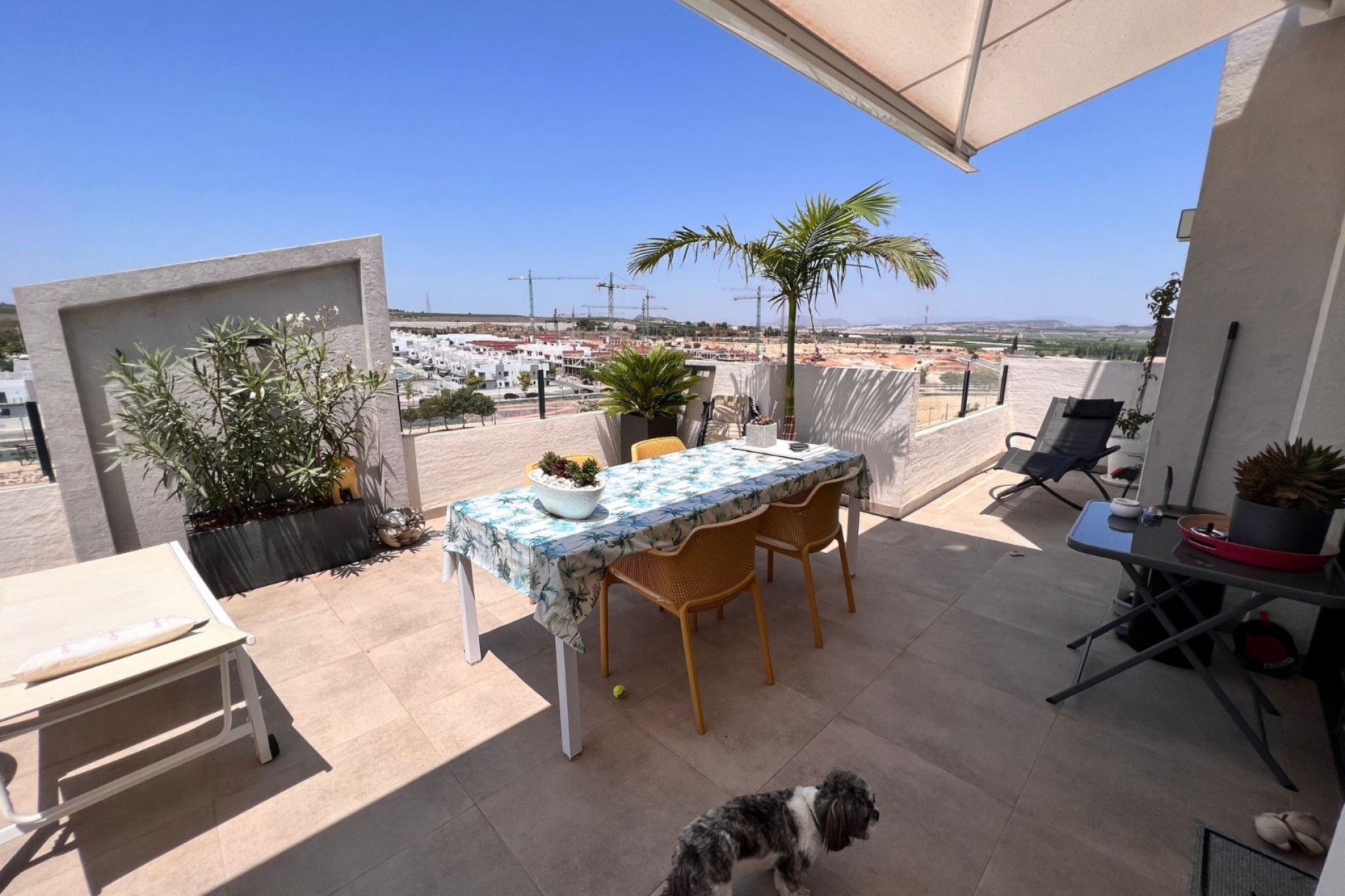 Reventa - Apartment flat - San Miguel de Salinas - San Miguel Salinas