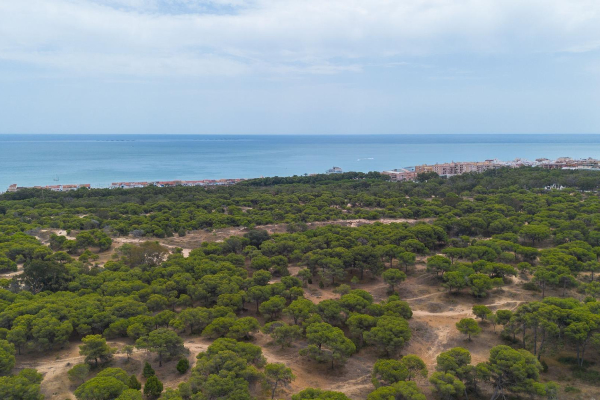 Reventa - Apartment - Guardamar del Segura - CENTRO