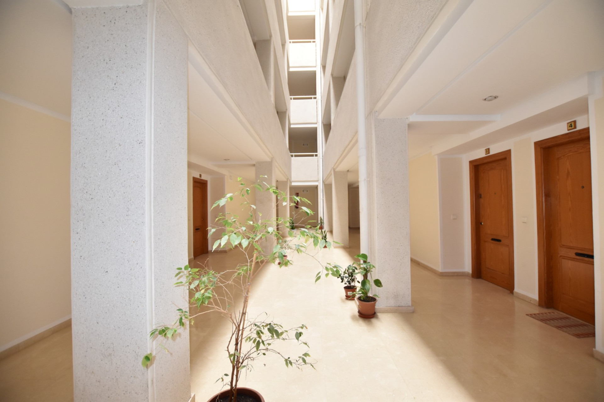 Reventa - Apartment - La Mata - La Mata - Town