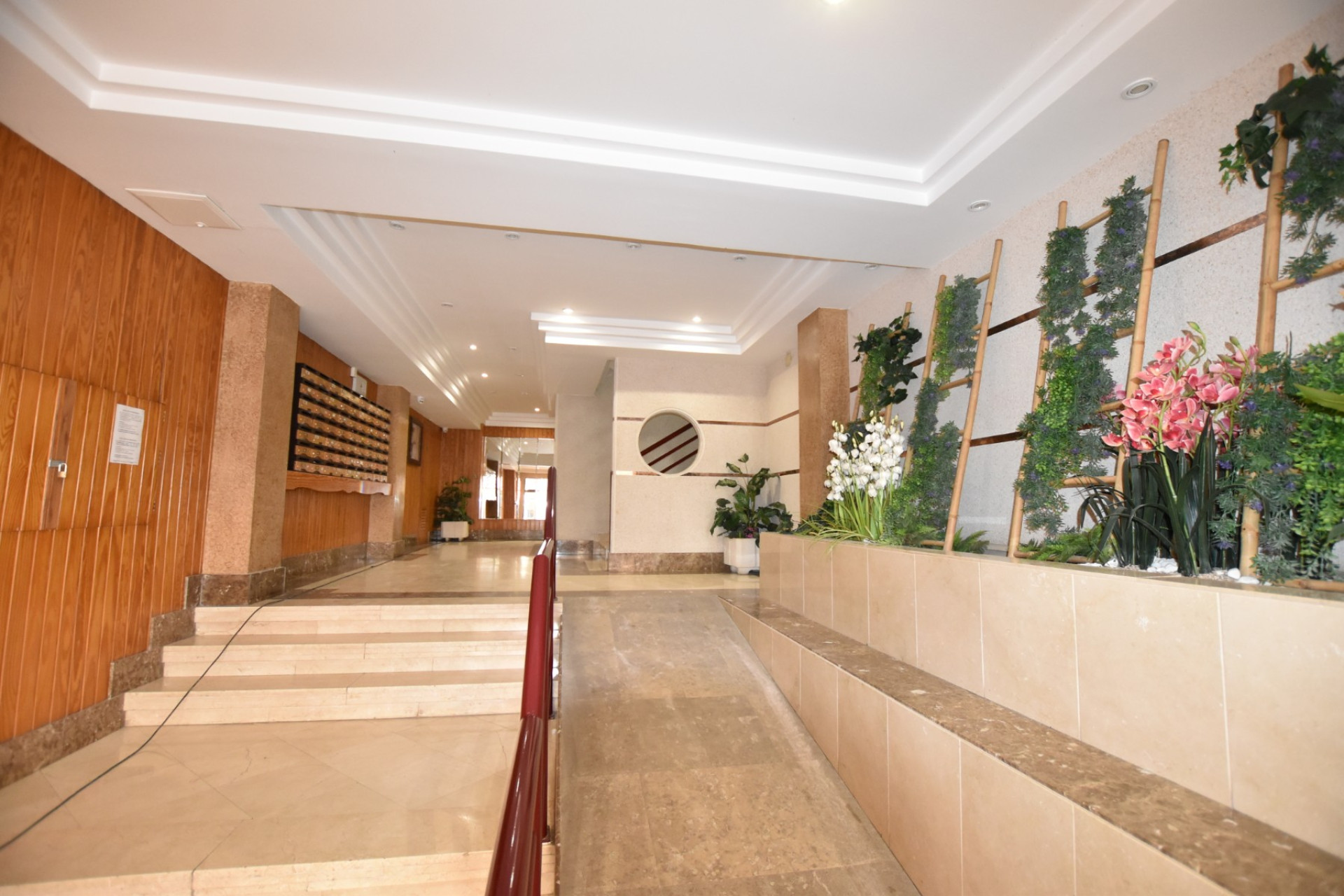 Reventa - Apartment - La Mata - La Mata - Town