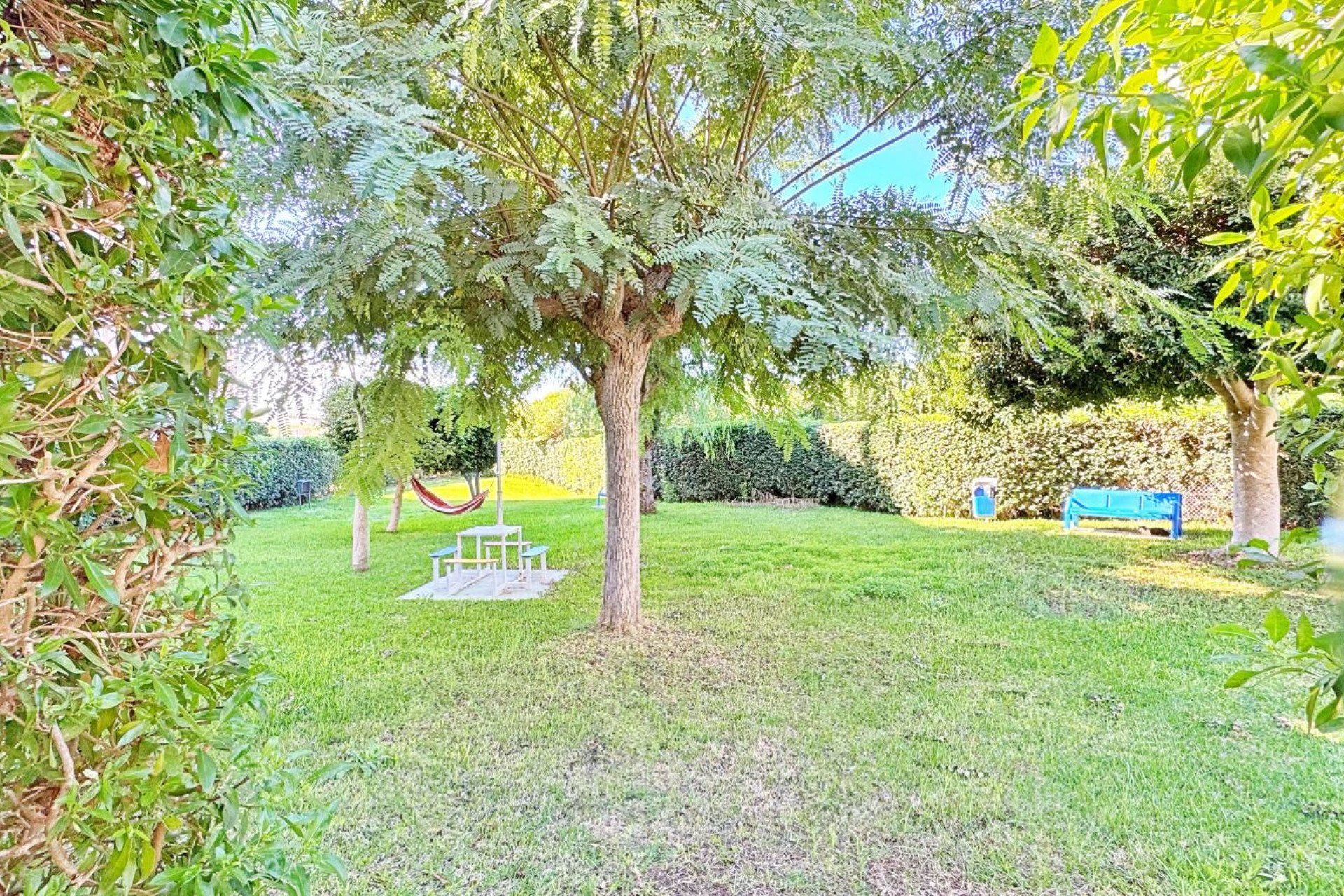 Reventa - Apartment - La Mata - La Mata - Town