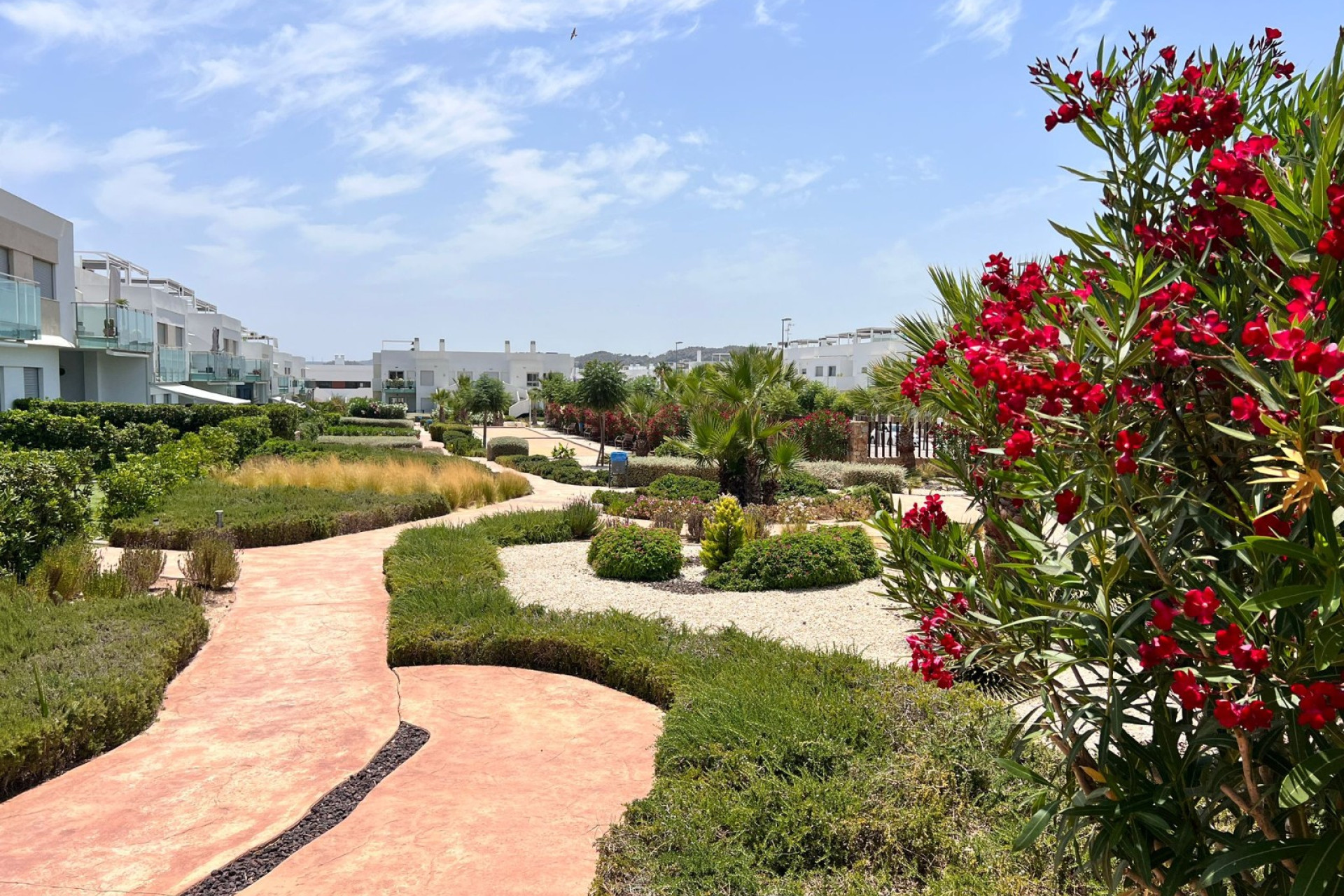 Reventa - Apartment - Los Montesinos - Entre Naranjos / Vistabella Golf