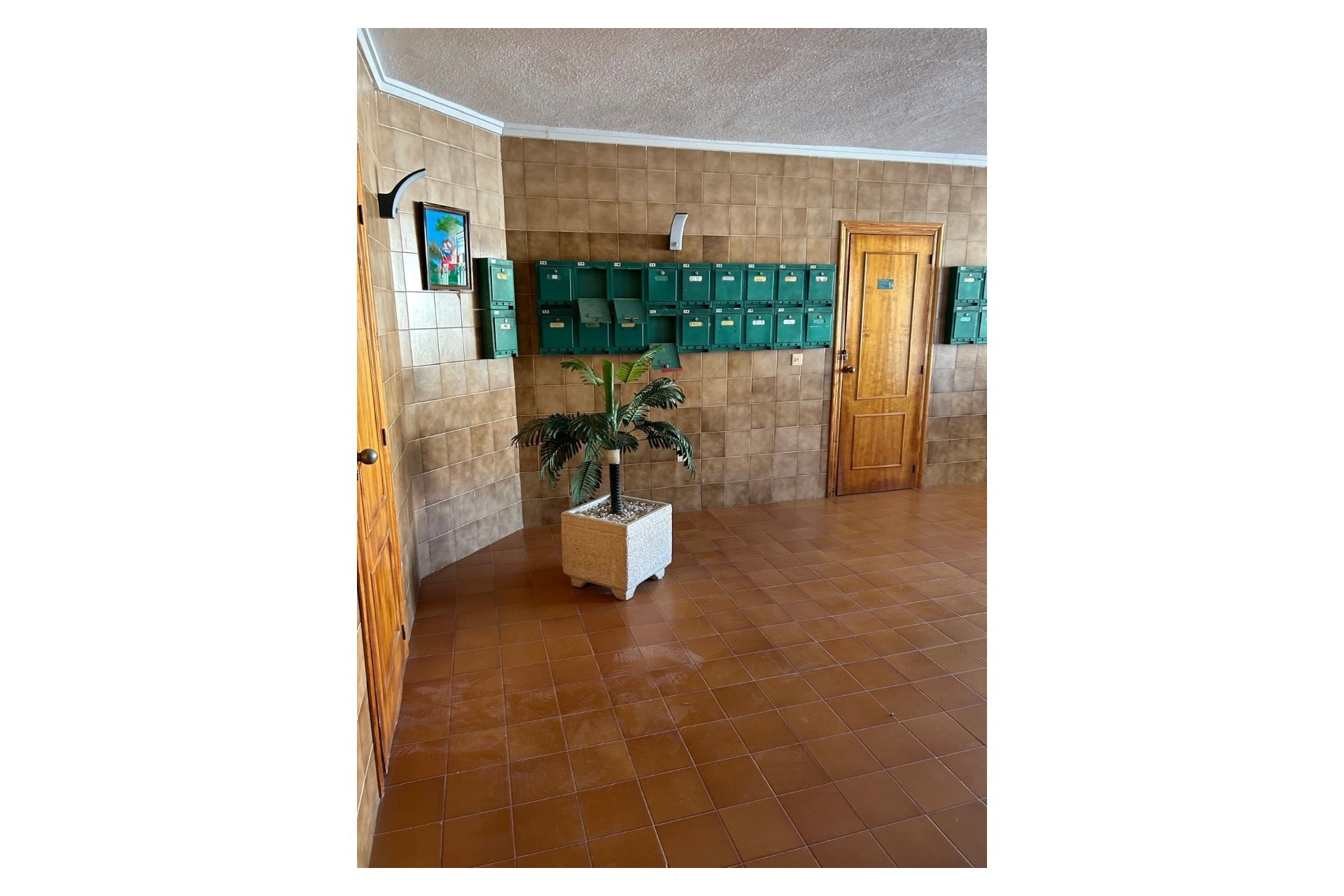 Reventa - Apartment - Orihuela Costa - Cabo Roig
