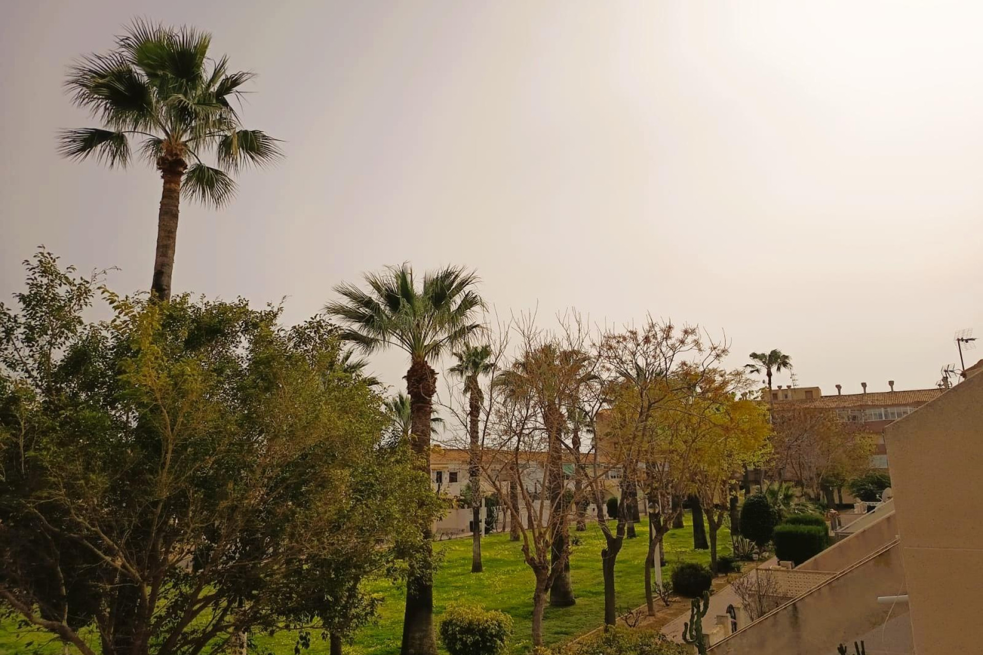 Reventa - Apartment - Orihuela Costa - La Regia