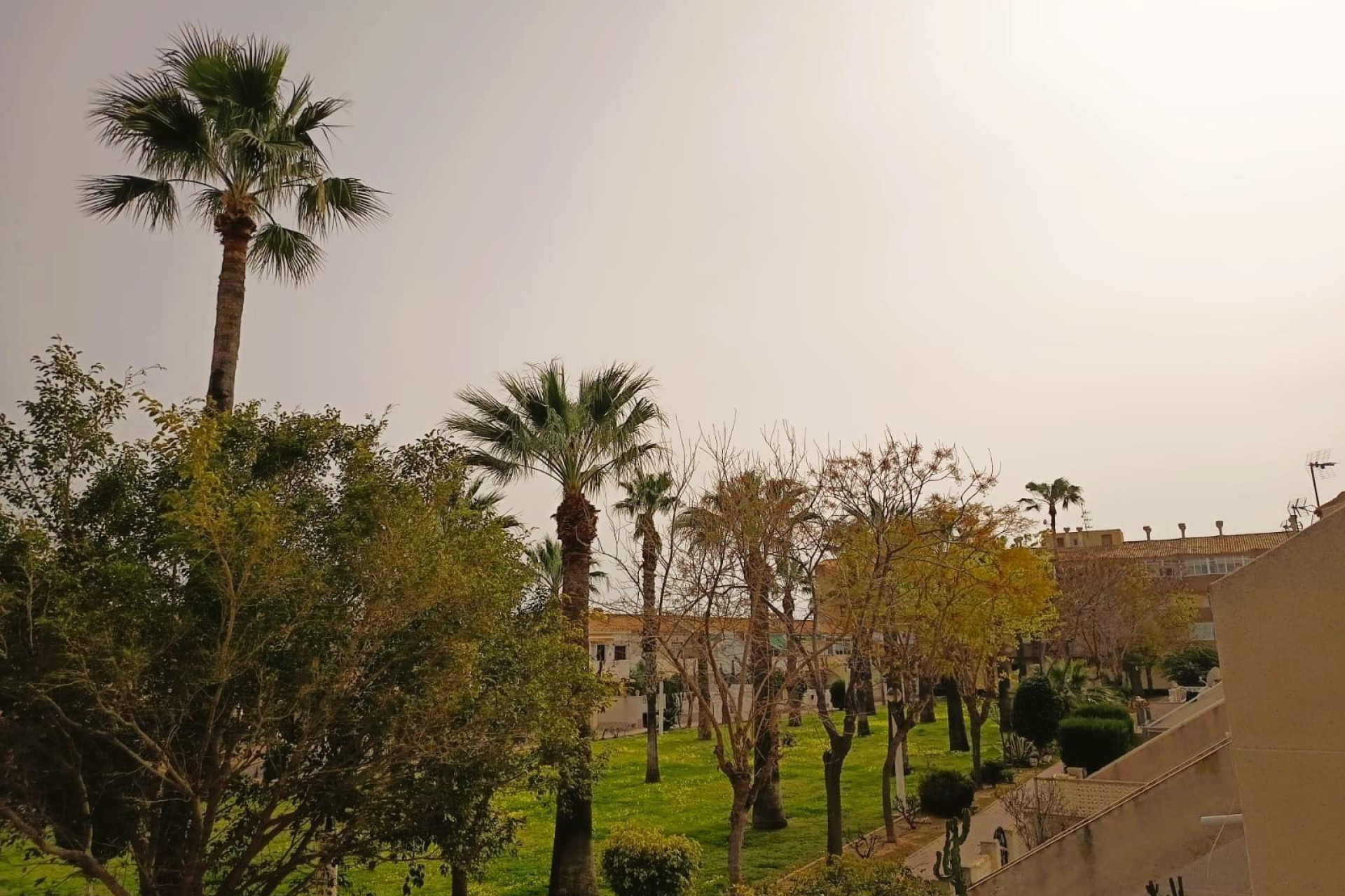 Reventa - Apartment - Orihuela Costa - La Regia