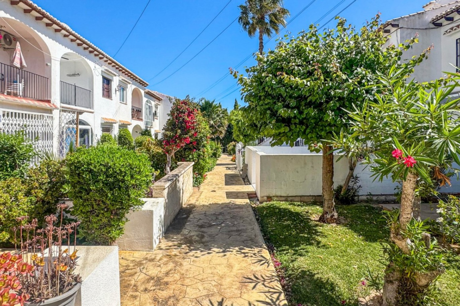 Reventa - Apartment - Orihuela Costa - Los Balcones