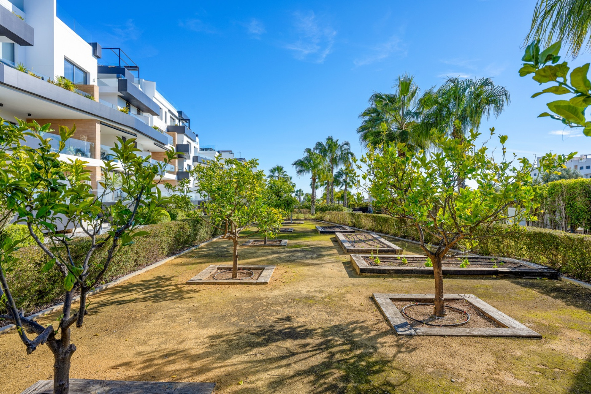 Reventa - Apartment - Orihuela Costa - Los Dolses