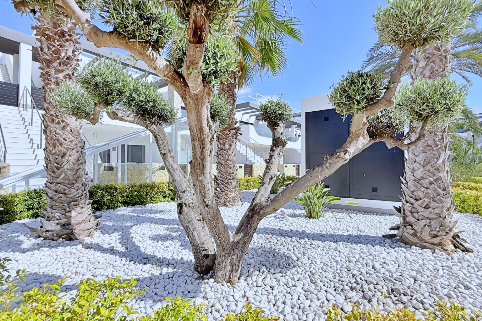 Reventa - Apartment - Orihuela Costa - Punta Prima