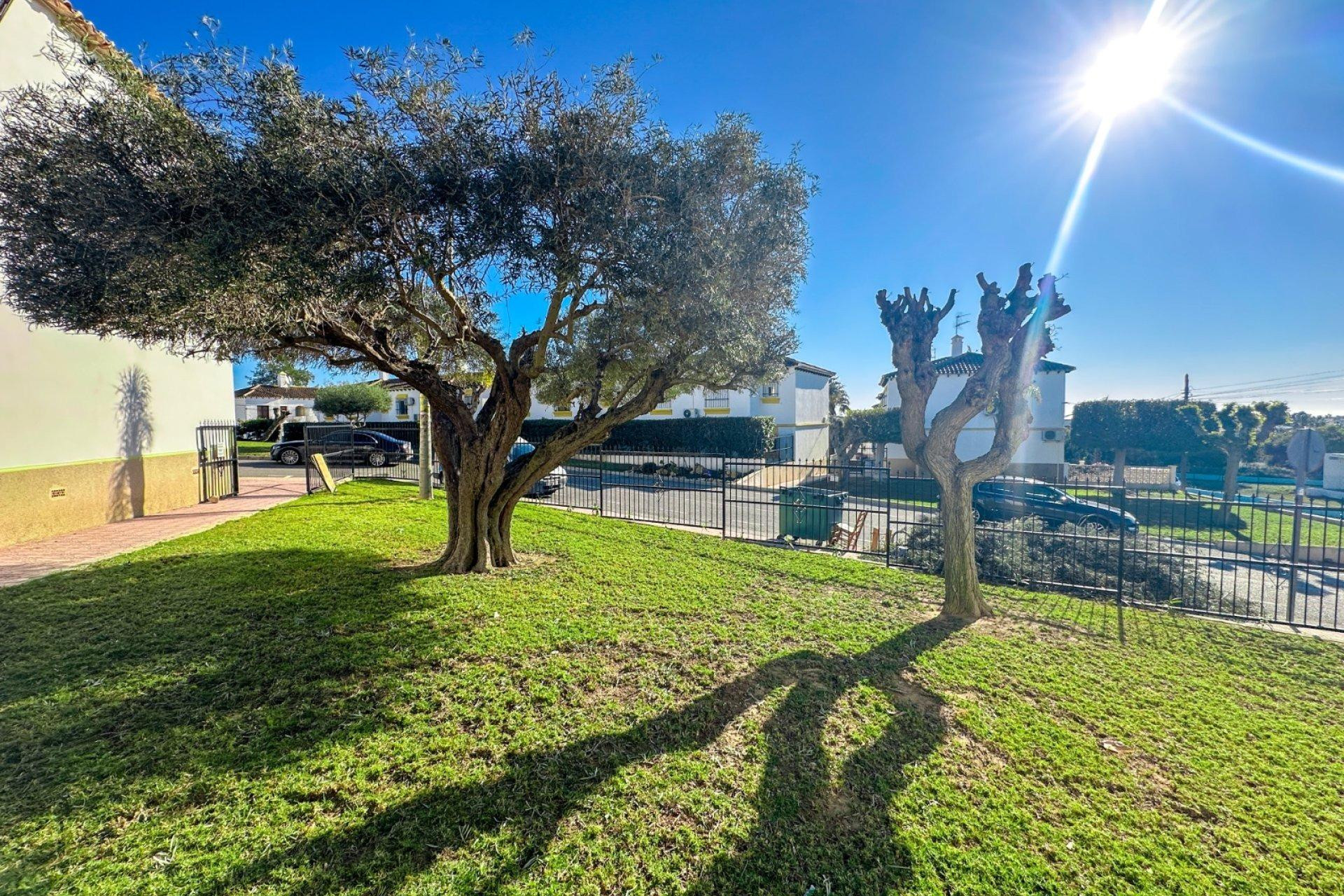 Reventa - Apartment - Orihuela Costa - Villamartin