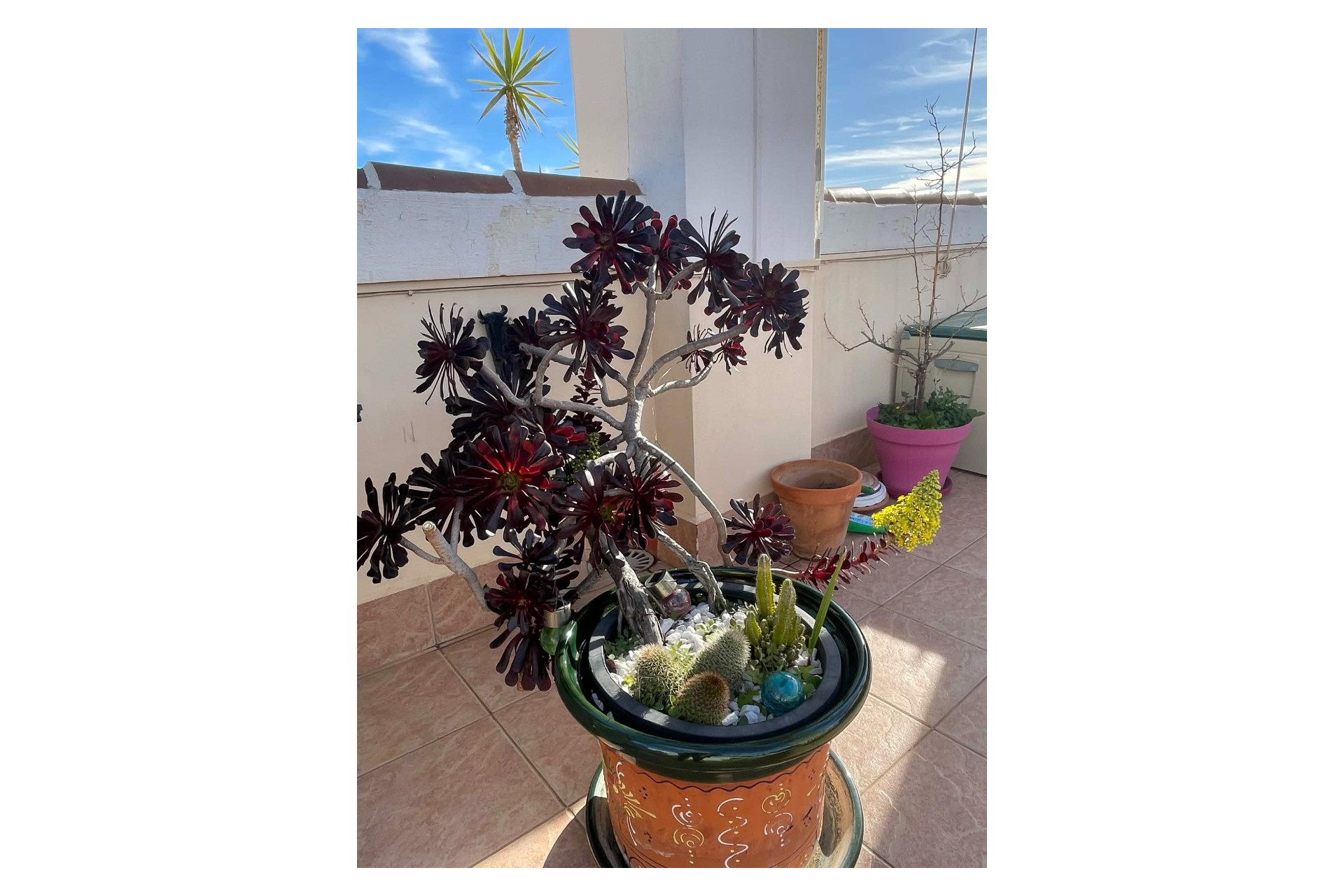 Reventa - Apartment - Top Floor Apartment - Orihuela Costa - Los Altos