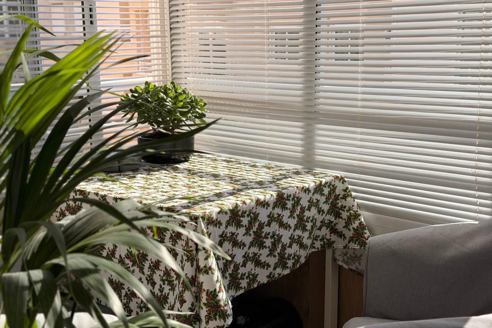 Reventa - Apartment - Torrevieja - Acequion