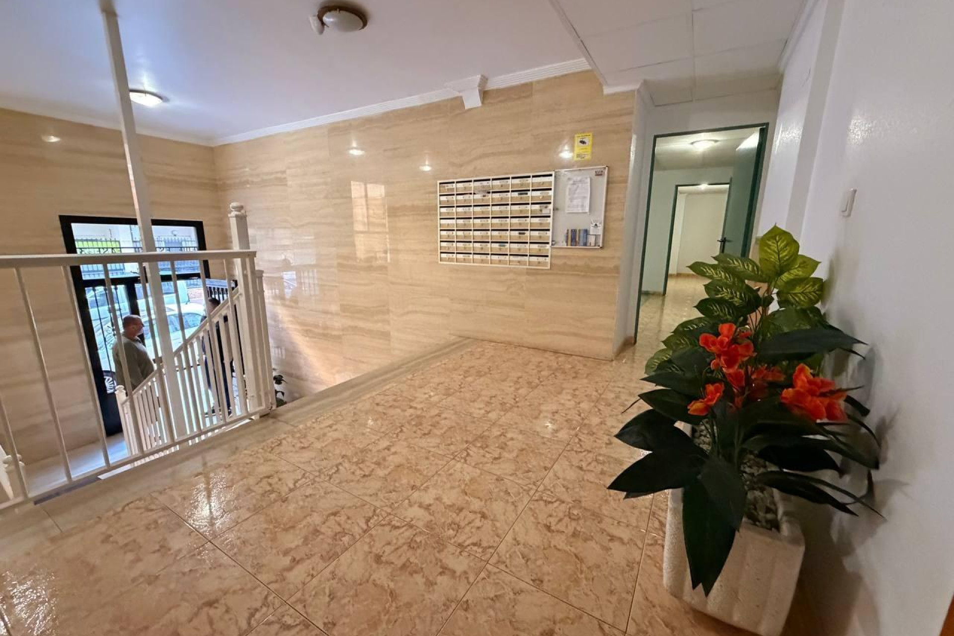 Reventa - Apartment - Torrevieja - Acequion