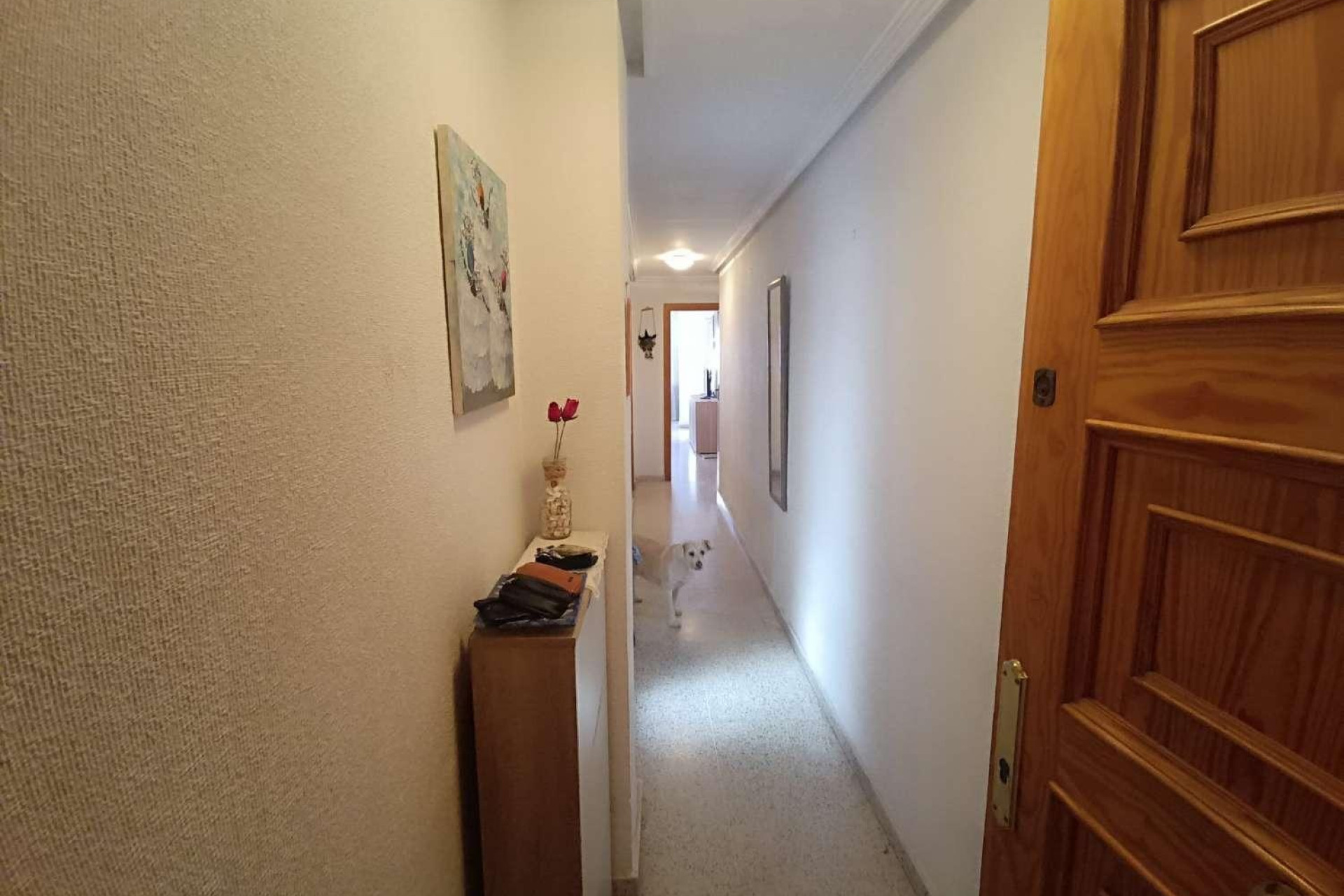 Reventa - Apartment - Torrevieja - Acequion