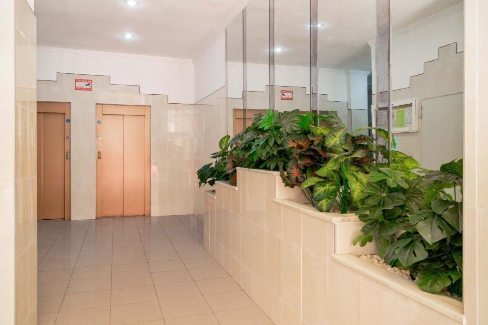 Reventa - Apartment - Torrevieja - Centro