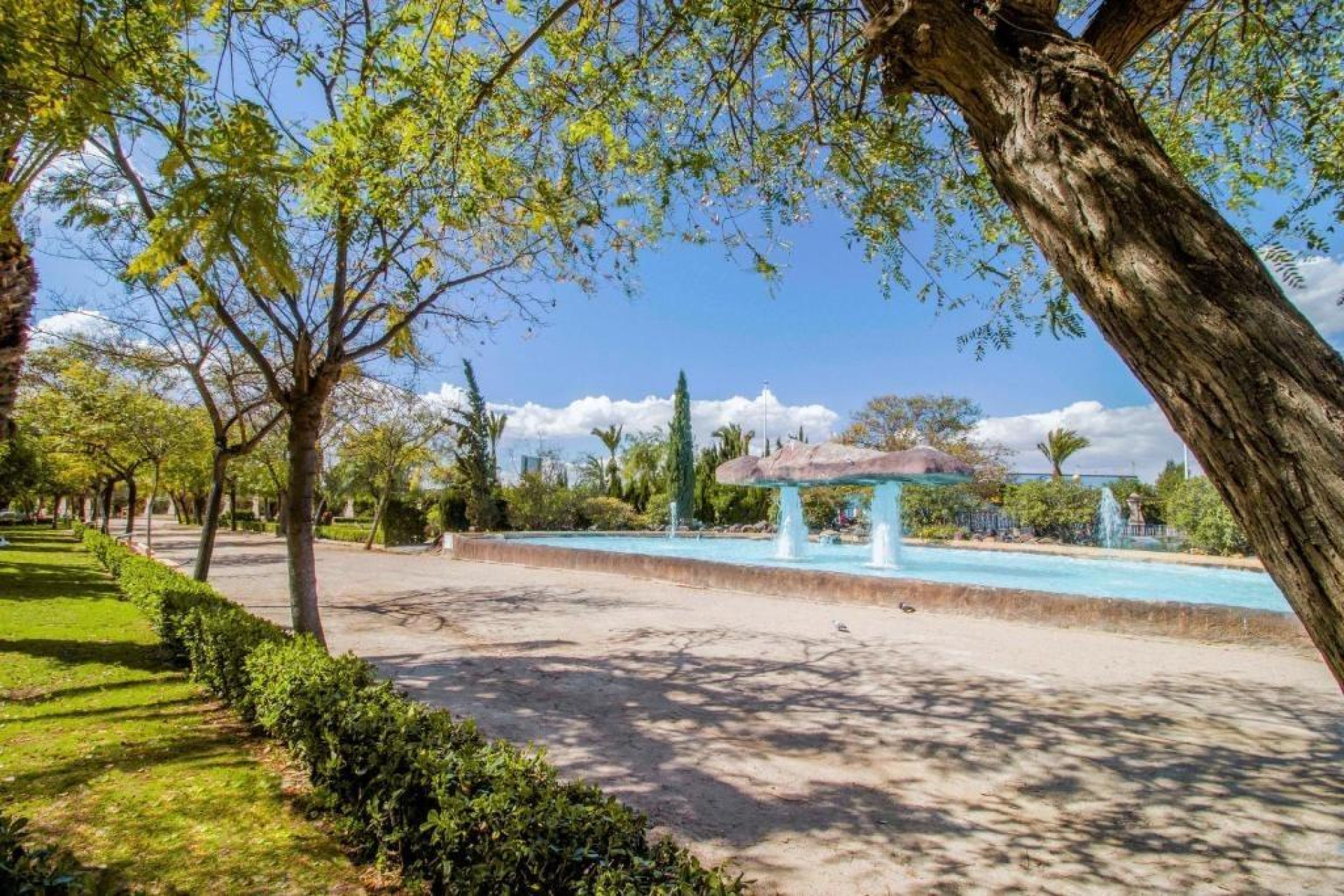 Reventa - Apartment - Torrevieja - Centro