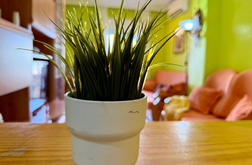 Reventa - Apartment - Torrevieja - El molino