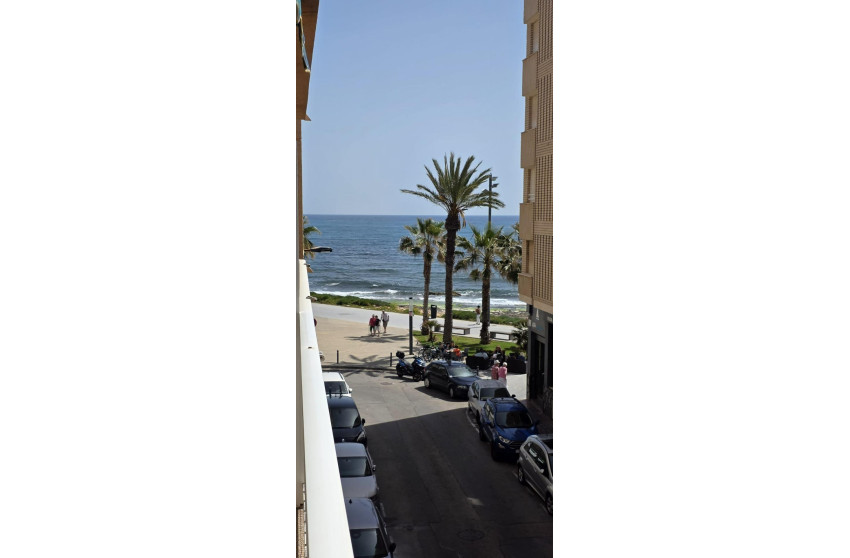 Reventa - Apartment - Torrevieja - Estacion de autobuses