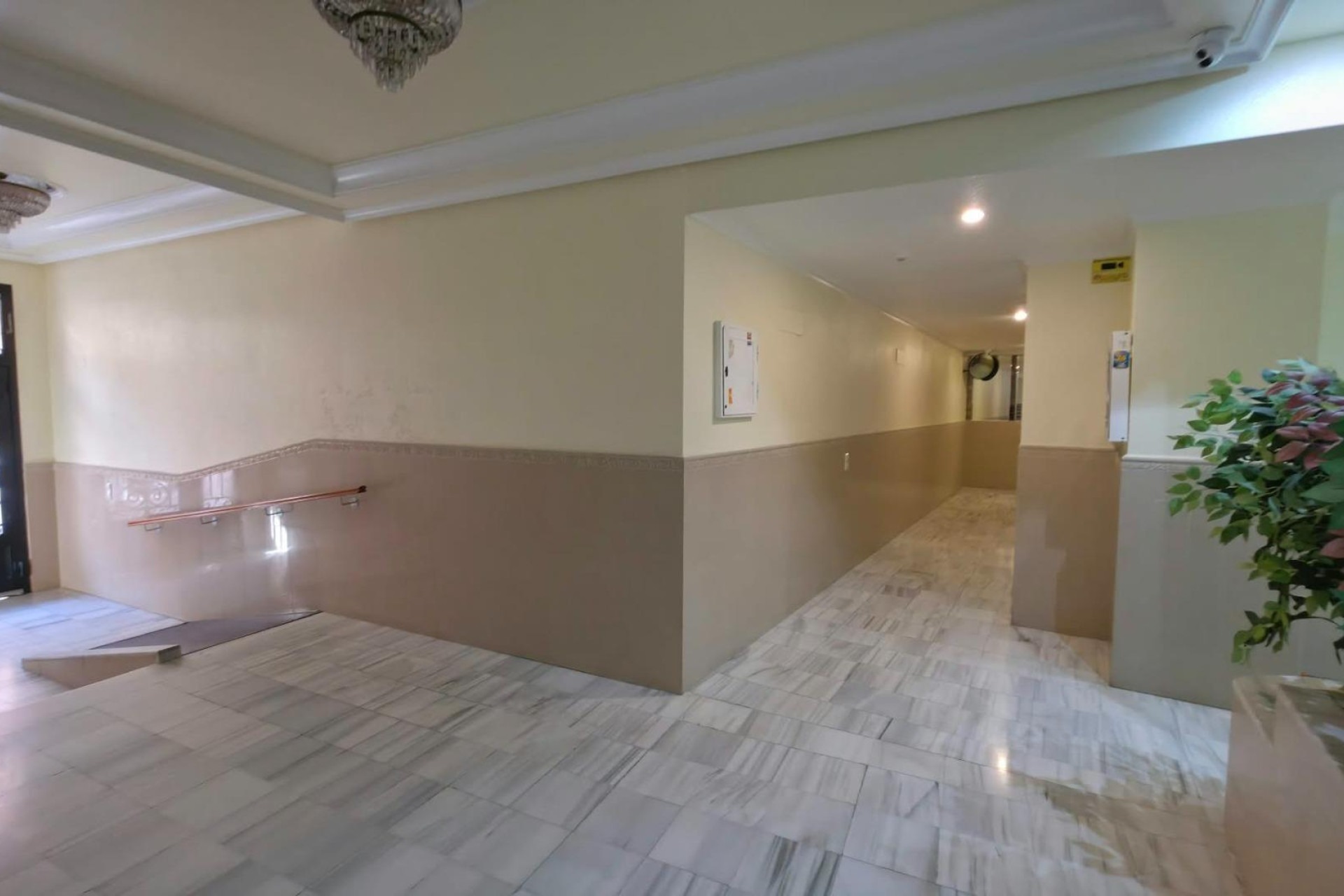Reventa - Apartment - Torrevieja - Paseo maritimo