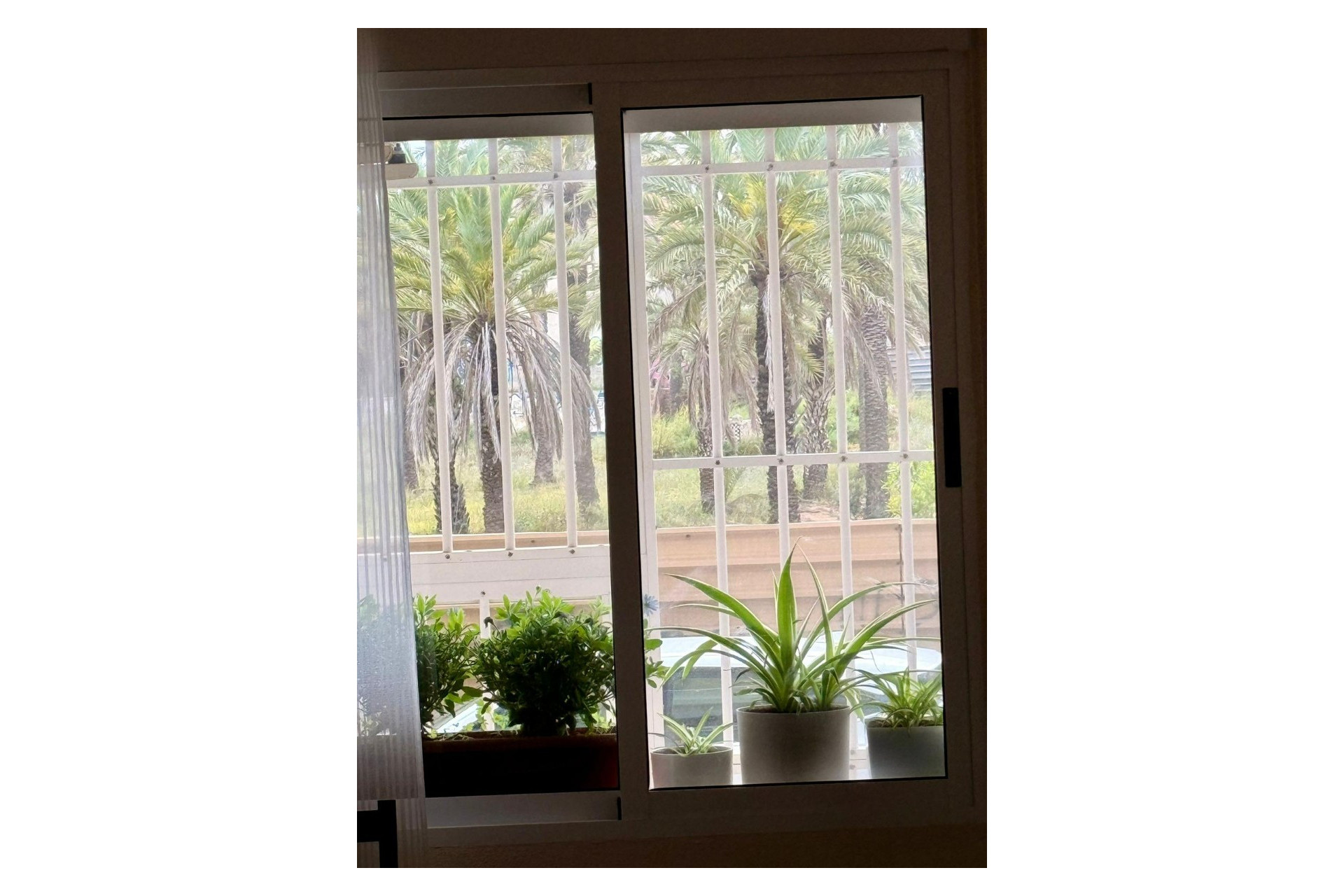 Reventa - Apartment - Torrevieja - Playa de los locos