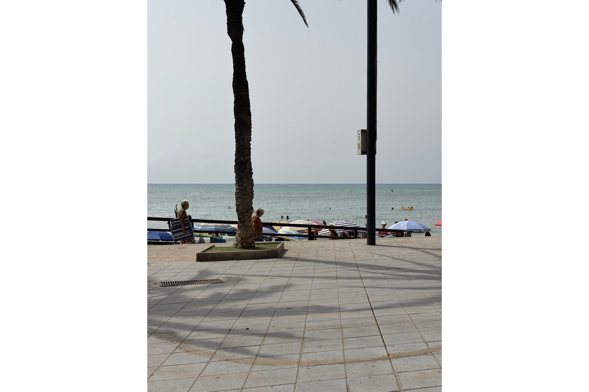 Reventa - Apartment - Torrevieja - Playa del cura