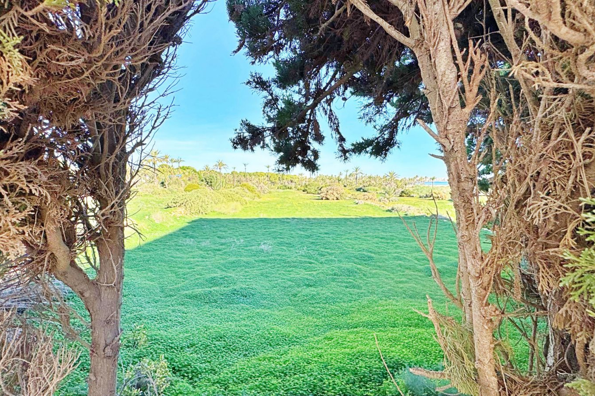 Reventa - Apartment - Torrevieja - Rocio del Mar