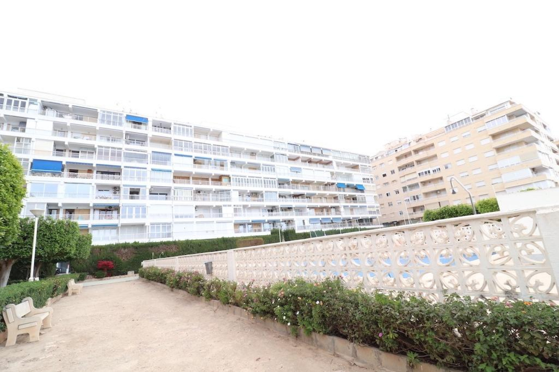 Reventa - Apartment - Torrevieja - torrevieja