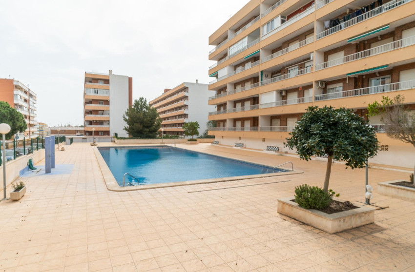 Reventa - Apartment - Torrevieja - torrevieja