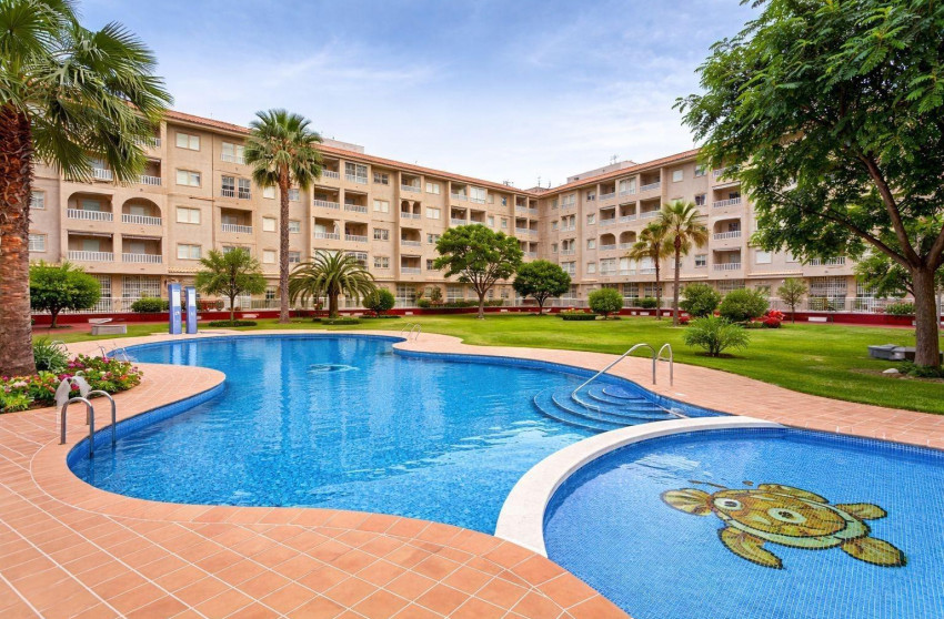 Reventa - Apartment - Torrevieja - torrevieja