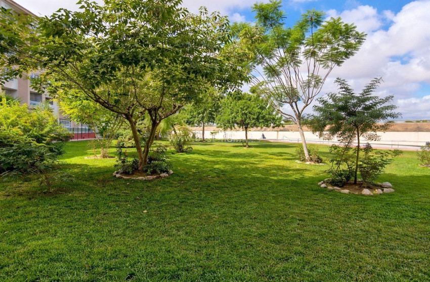 Reventa - Apartment - Torrevieja - torrevieja