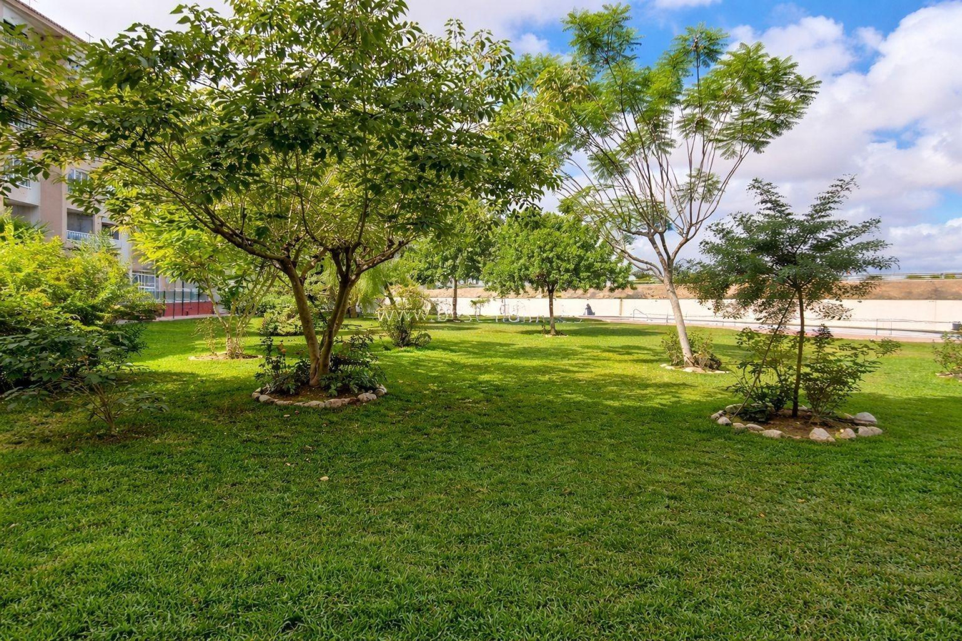 Reventa - Apartment - Torrevieja - torrevieja