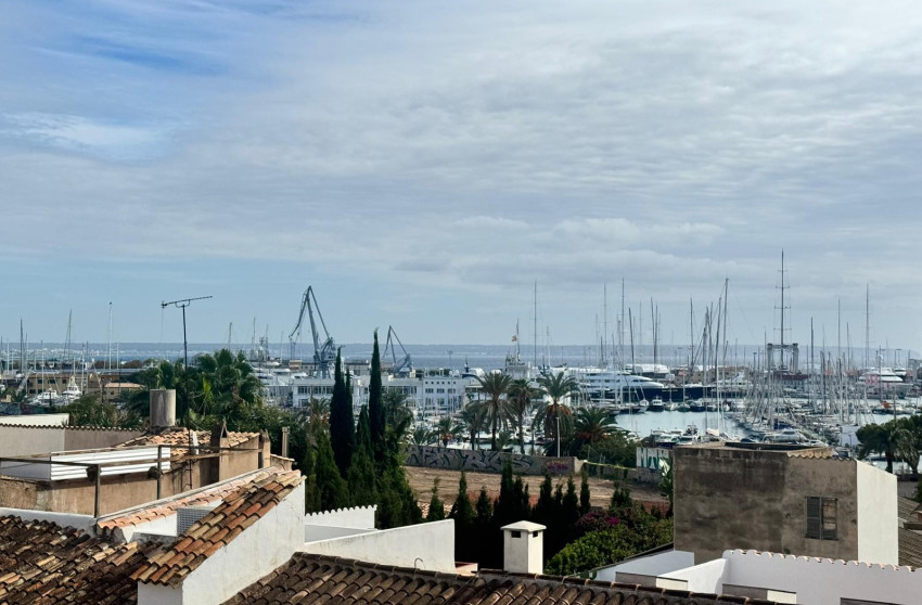 Reventa - Ático - Palma