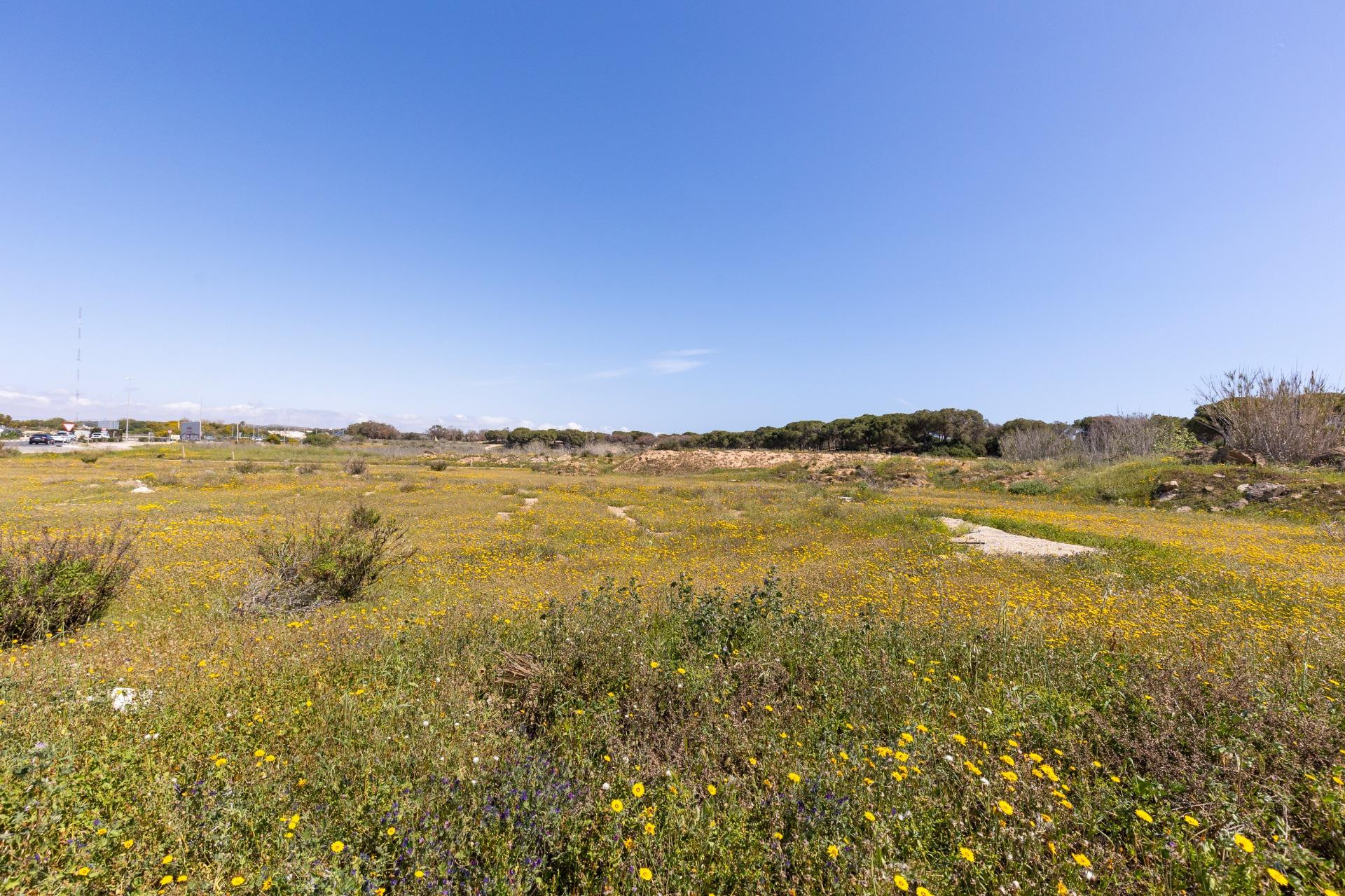 Reventa - Bungalow - Planta Baja - Guardamar del Segura - Urbanizaciones