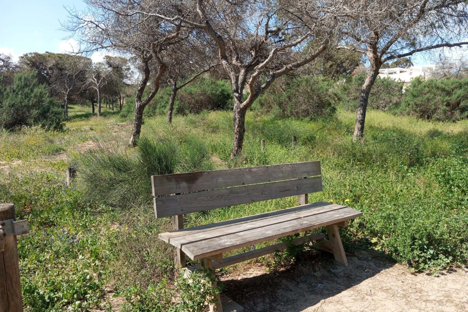 Reventa - Bungalow - Planta Baja - Guardamar del Segura - Urbanizaciones