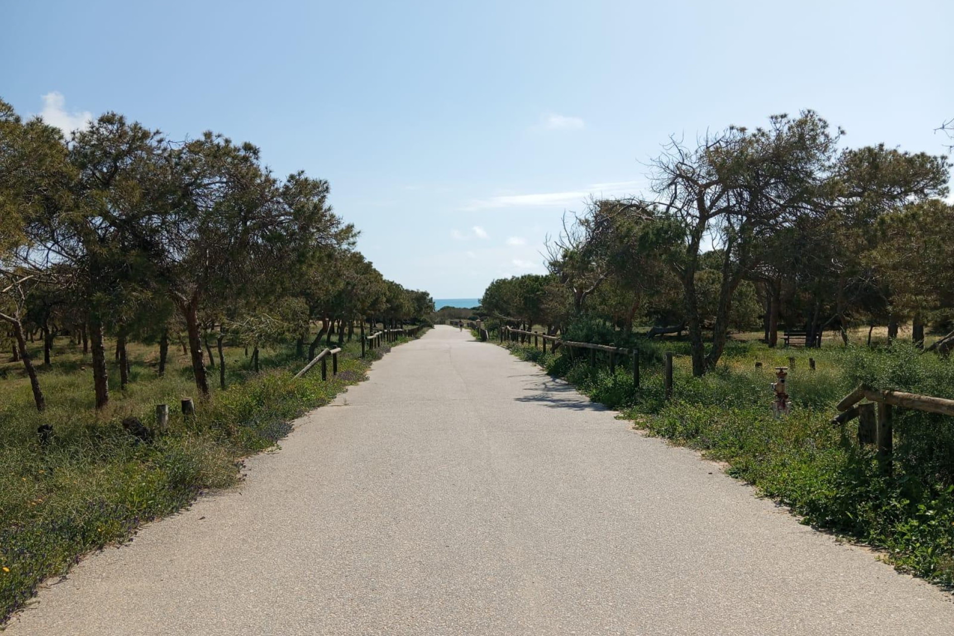 Reventa - Bungalow - Planta Baja - Guardamar del Segura - Urbanizaciones