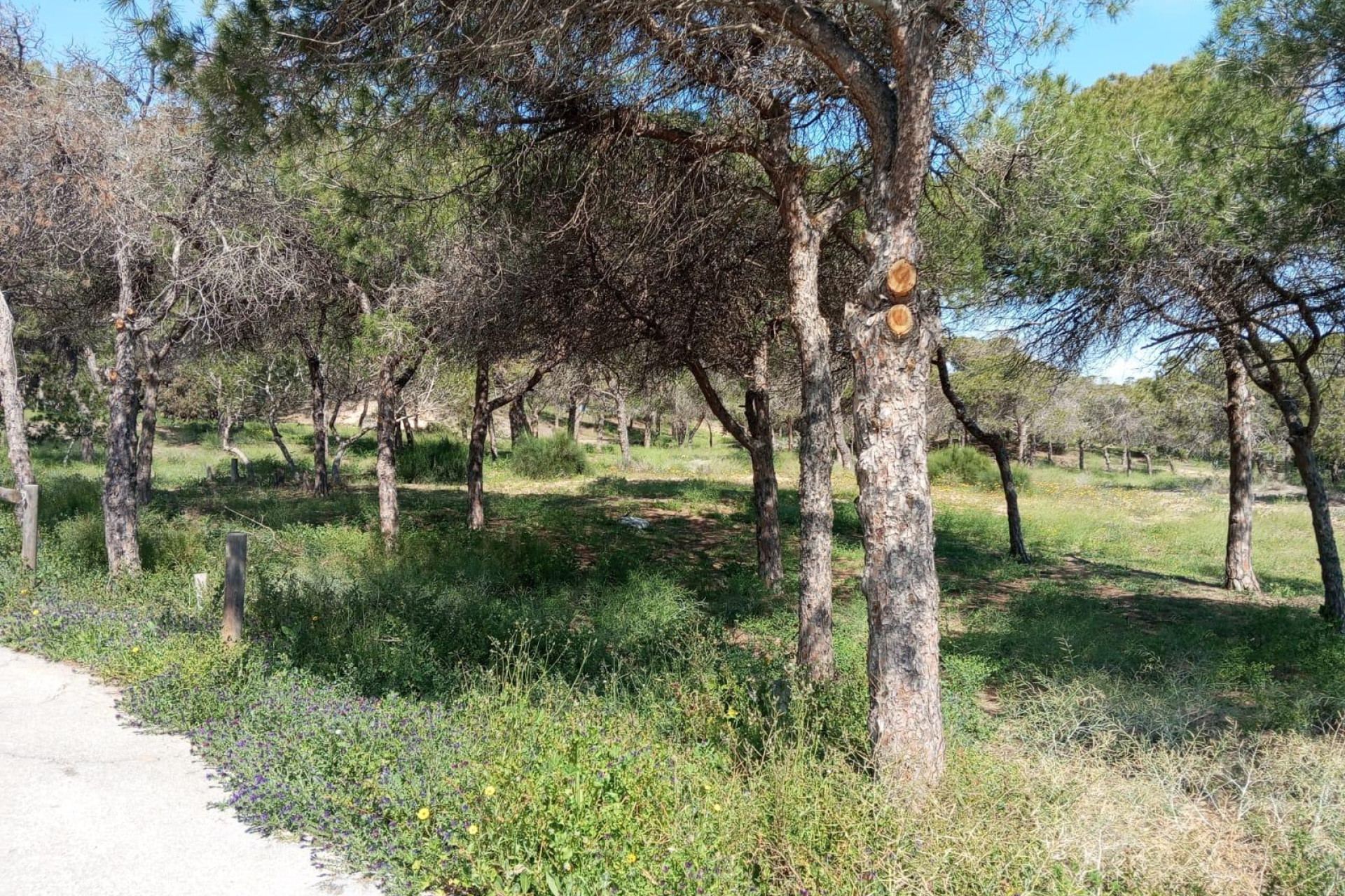 Reventa - Bungalow - Planta Baja - Guardamar del Segura - Urbanizaciones