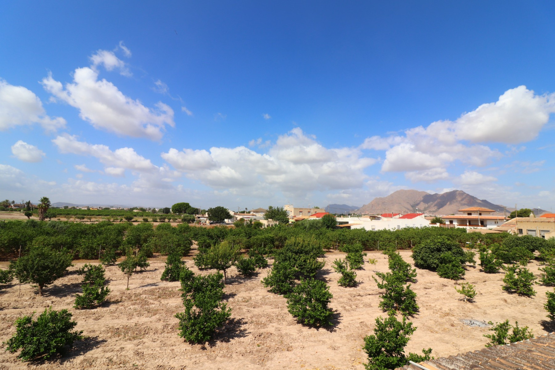 Reventa - Bungalow - Planta Baja - Rafal - El Mudamiento